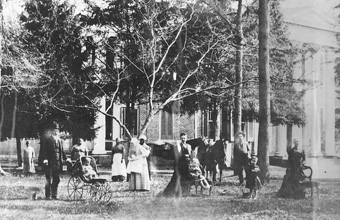 RippaVilla Plantation